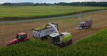 Corn Silage Harvesting