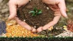 Objectives of Integrated Nutrient Management