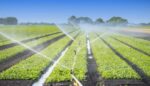 what sometimes occurs when reclaimed water is used in agriculture