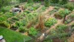 Permaculture