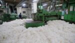 How Cotton is Processed