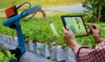 AI Address Global Food Security Issues
