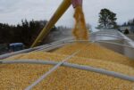 Wheat Production Competition Checks Given To The Winners