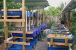 Aquaponics Commercial Challenges In Europe