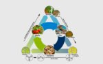 Aquaponics Principles