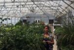 Boca Helping Hands Aquaponics