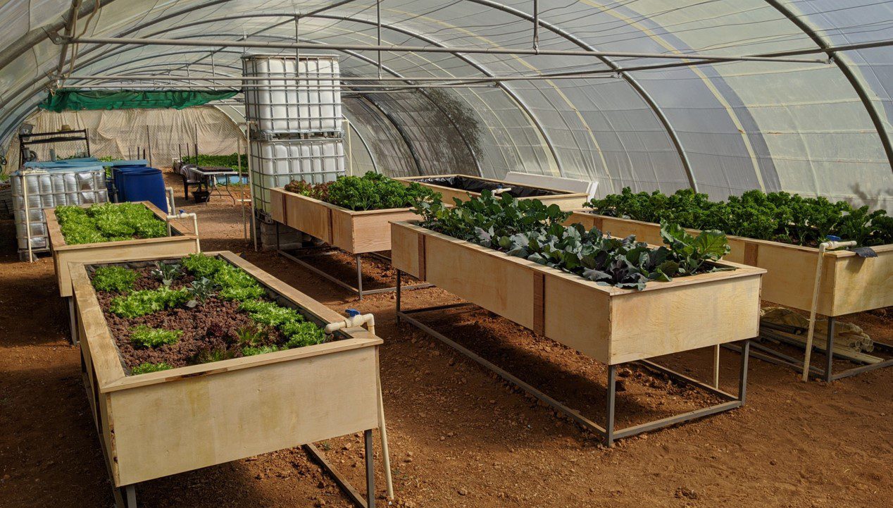 Housing And Aquaponics