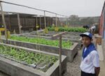 INMED Aquaponics