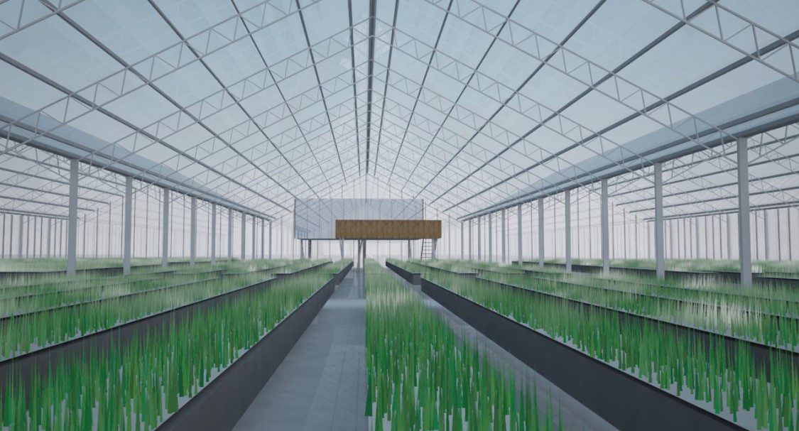 Intelligent Aquaponic Information Management