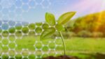 Management Of Pesticide Residues By Nanobiotechnology
