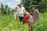 Taking Microgreens To The Next Level A Family’s Dream In The US