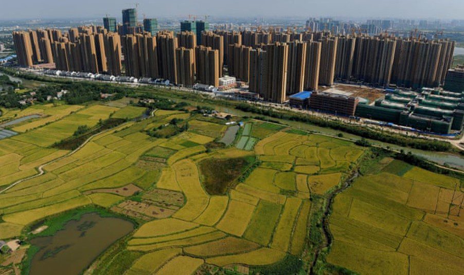Agriculture Sector Over Housing Colonies