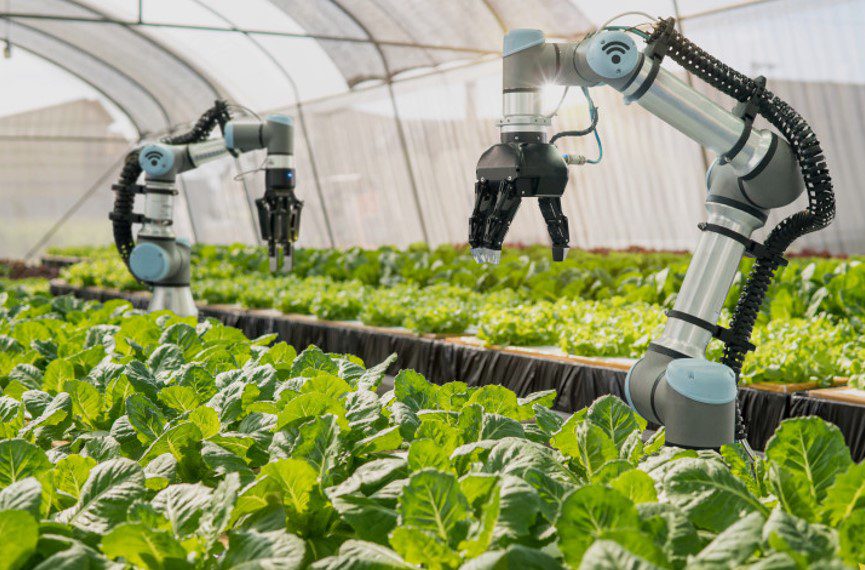 Ethical And Policy Issues Of Robots In Agriculture