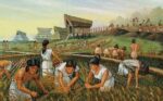 Neolithic Revolution