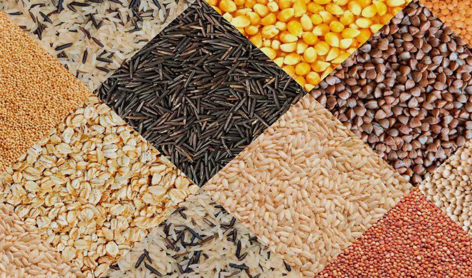Record Increase In Exports Of Oil Seeds