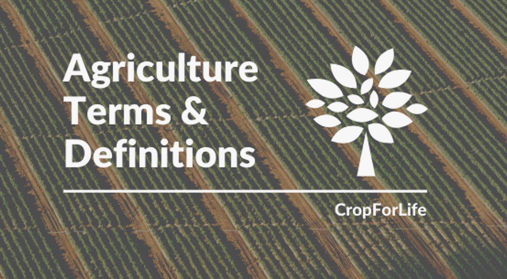 agriculture terms