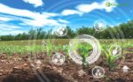 Artificial Intelligence And Precision Farming