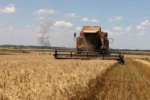 How Russia-Ukraine Grain Export Disruptions Drive Global Food Security Risks