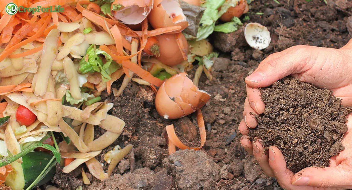 Compost