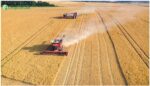 arable farming