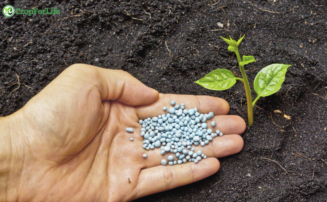 complete fertilizer