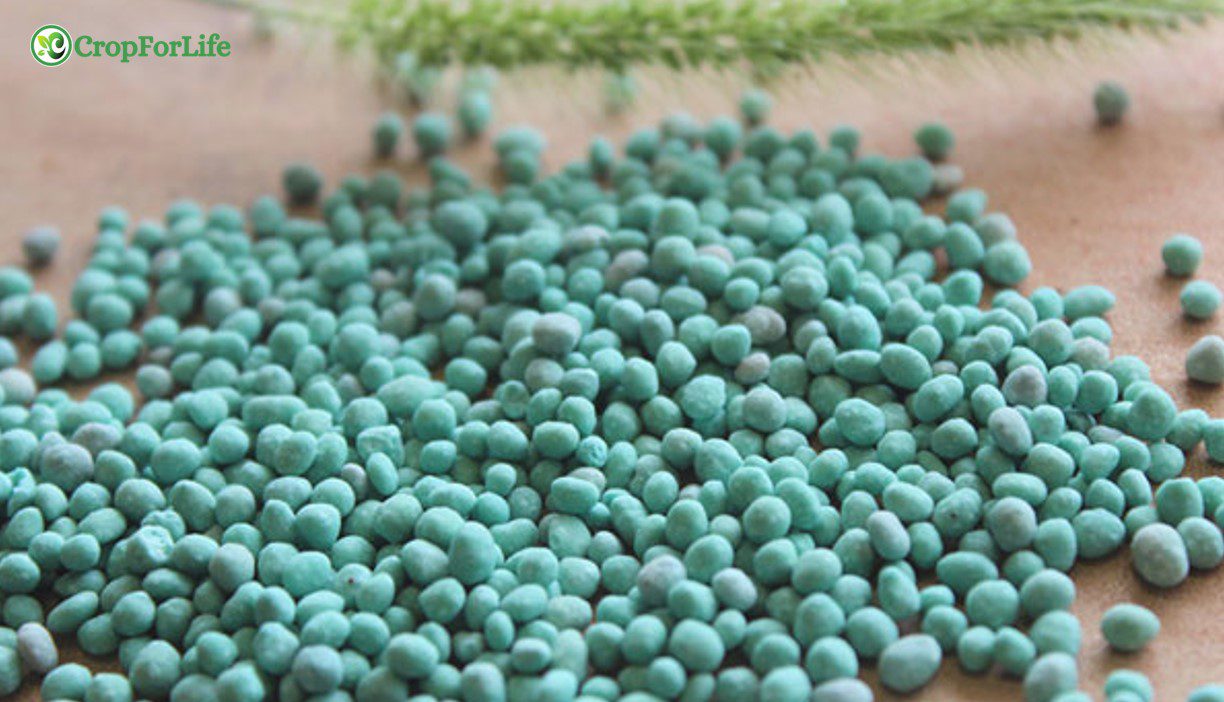 compound fertilizer