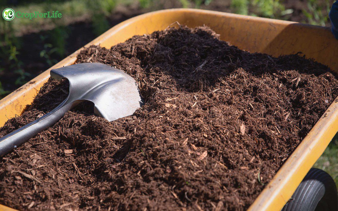 mulch
