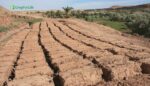 Adobe soil