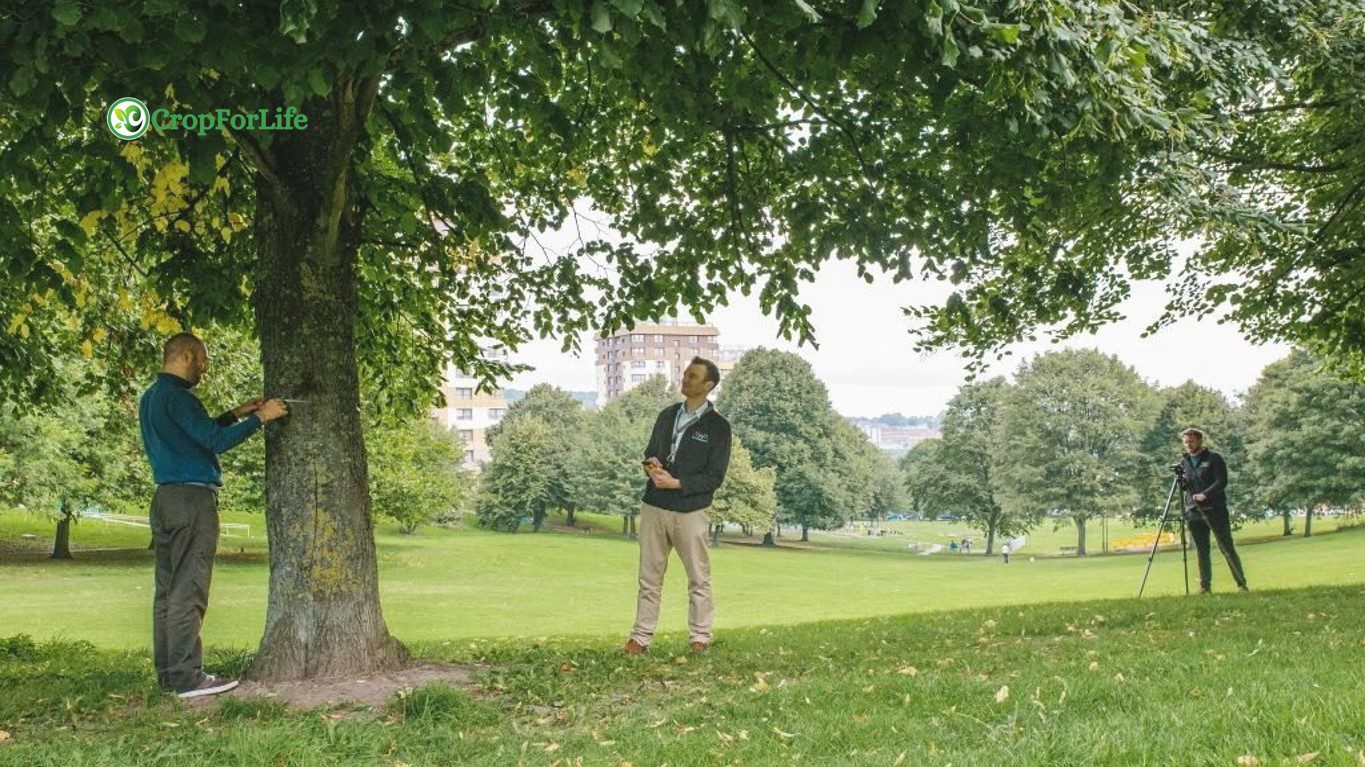 Arboricultural Association