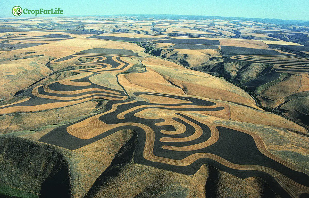Contour Farming