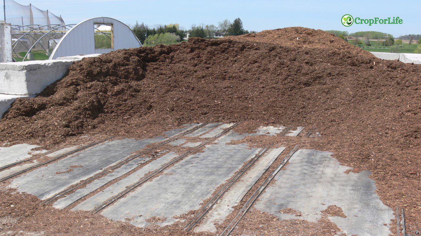 Manure Management plan