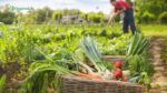 Organic Farming