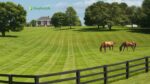 acreage