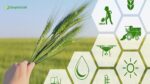horizontal integration in agriculture