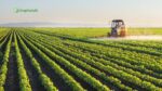 intensive farming