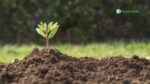 soil conservation
