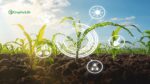 sustainable agriculture