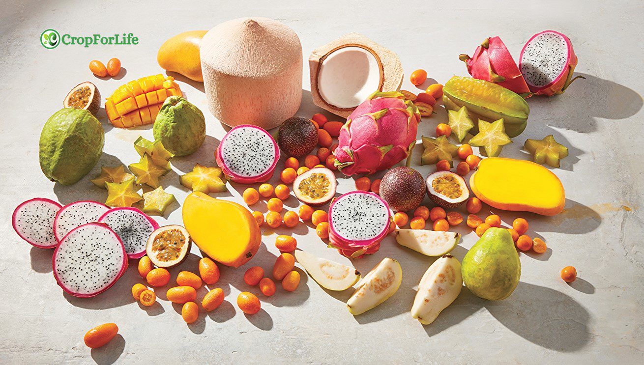 Tropical Fruits