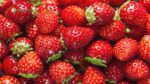 true fruit