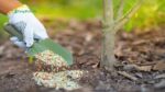 How to Apply Fertilizers