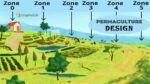 Basics of Permaculture Design and Patterns