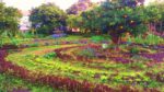 How To Create A Permaculture Food Forest