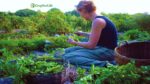 Observation in Permaculture Key to Design & Decision Making