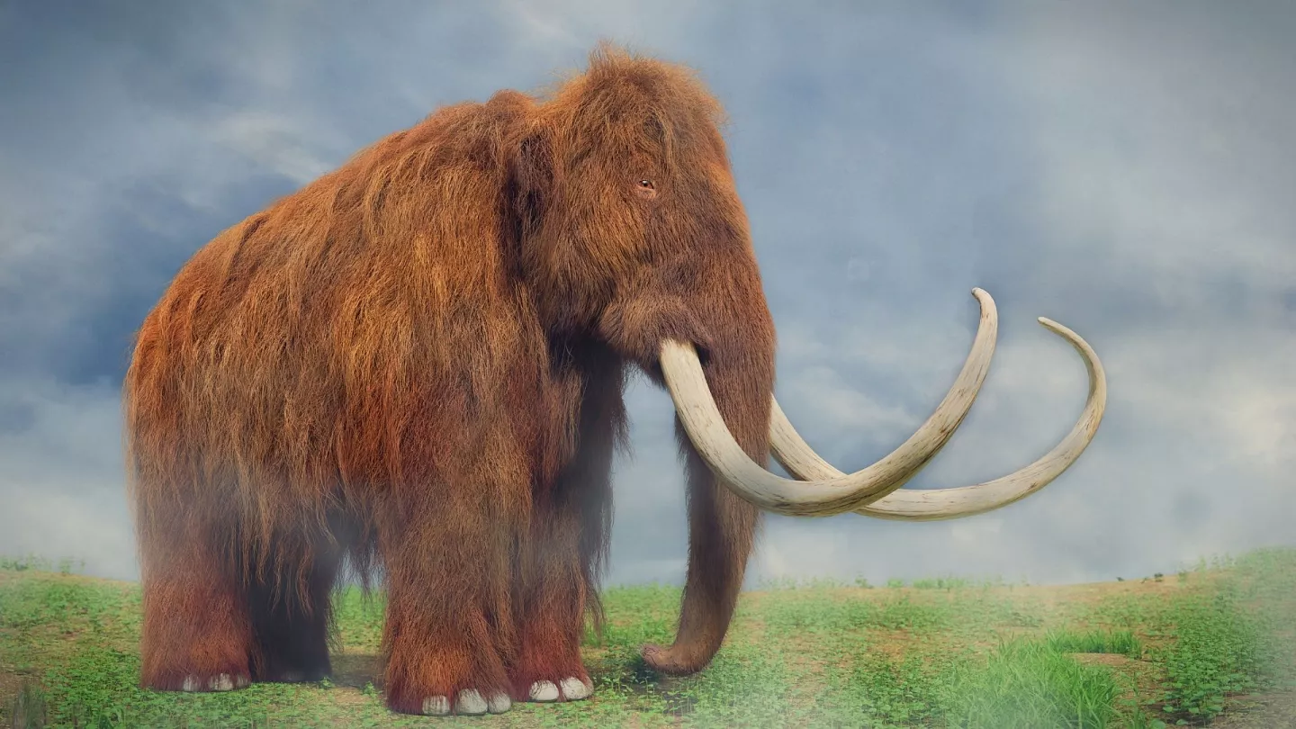 How Earth’s Largest Animals Built the Foundation of Agriculture