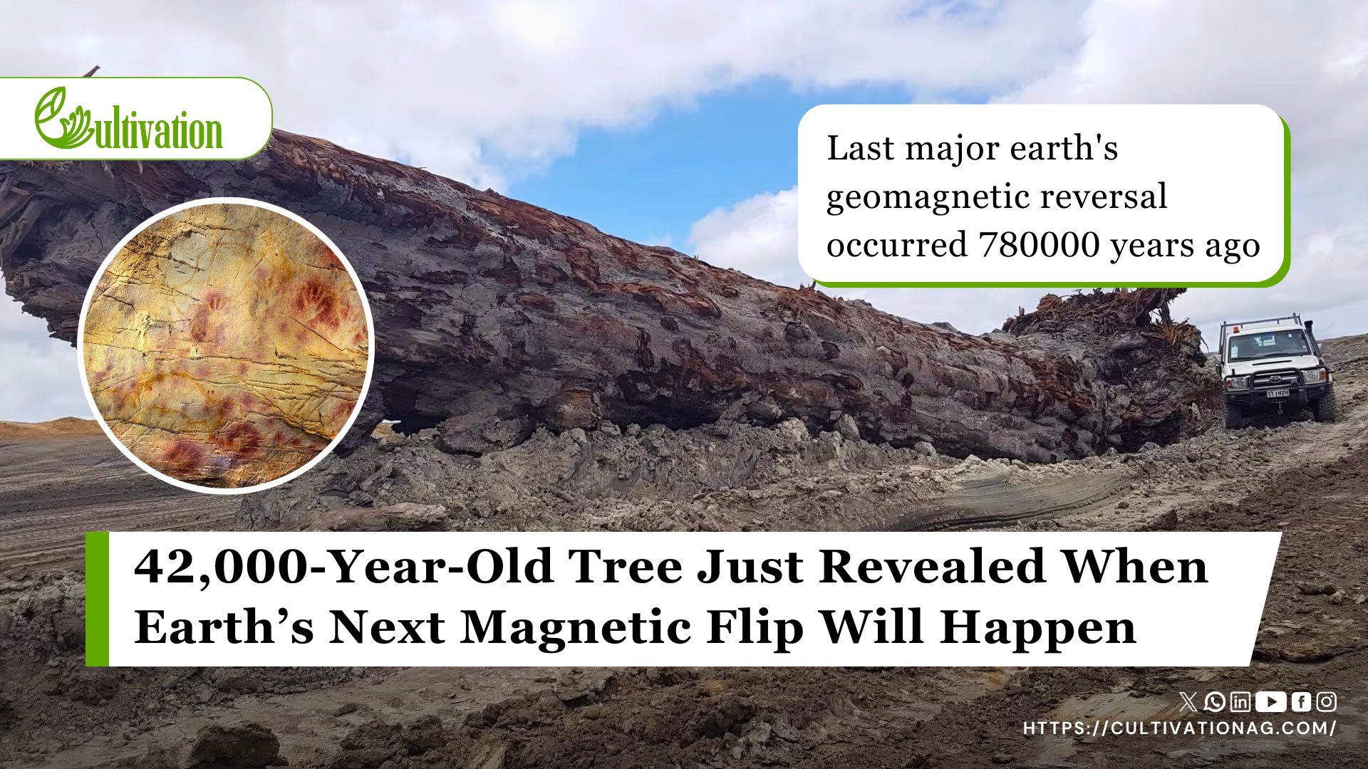 42,000-Year-Old Tree Just Revealed When Earth’s Next Magnetic Flip Will Happen