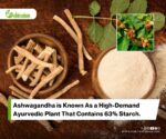 A Comparative Study of Ashwagandha Accessions for Improved Root Yield and Brittleness