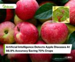 Apple Leaf Disease Detection With Artificial Intelligence Powered Neural Network For Fast Accurate Diagnosis