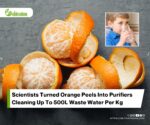 Eco friendly nickel infused orange peels effectively remove heavy metals from wastewater