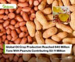 Understanding the Science Behind Peanut Oil Toxins and Their Potential Risks