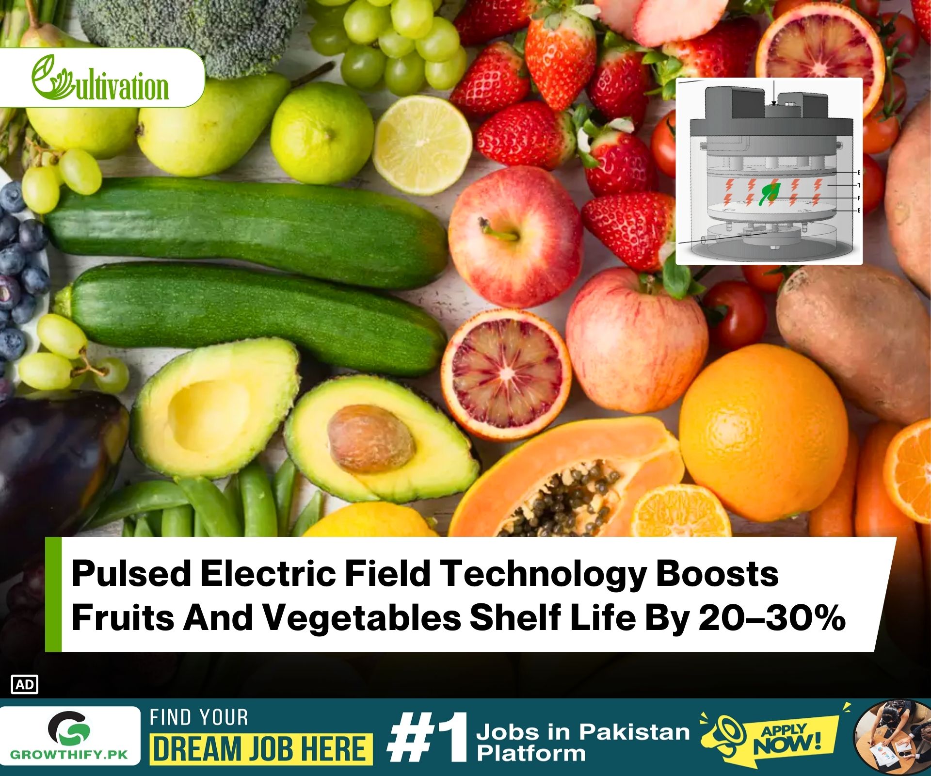 How Pulsed Electric Fields Boost Shelf Life and Nutrition in Fresh Fruits and Vegetables